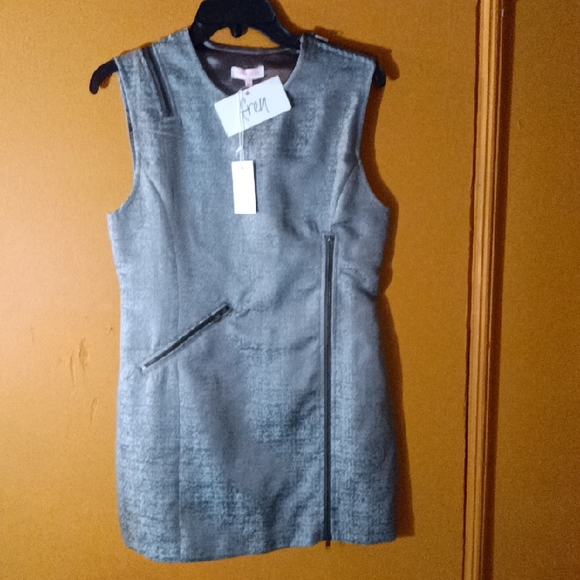Nameless Silver Sleeveless Shift Dress with Asymmetric Zipper - Picture 3 of 4